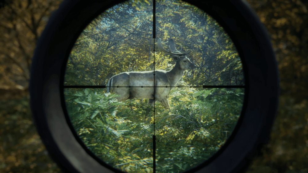 theHunter Call of the Wild hunting a deer